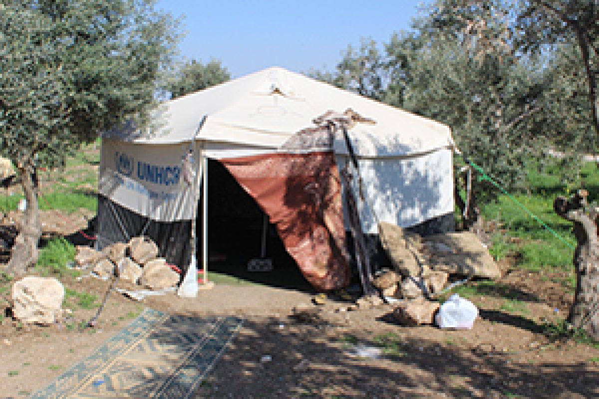 Living in a Tent: The Daily Struggles of a Syrian Refugee Family