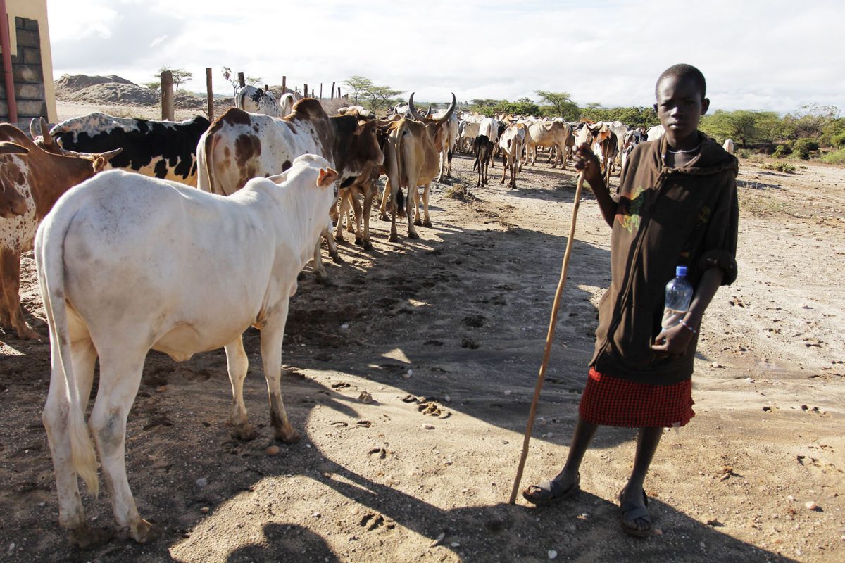Climate-Displaced People Face Two-Fold Discrimination 1