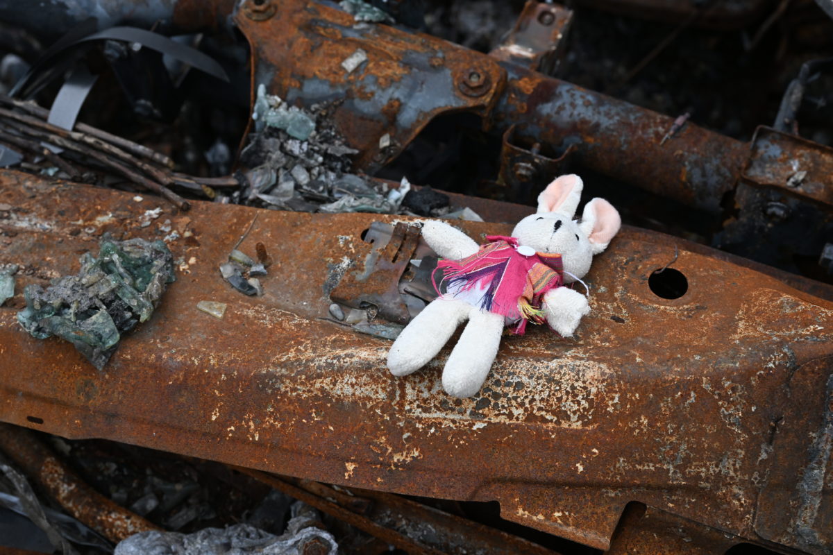 Stuffed toy on a destroyed car
