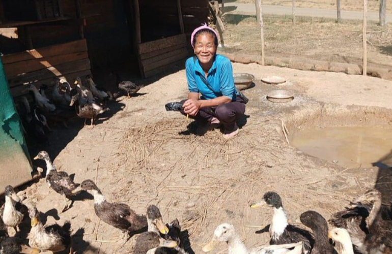 Ethnic violence in Manipur has displaced thousands of people, destroying their livelihoods. Photo: Beneficiary of a 2024-25 program to provide poultry/livelihood creation support to displaced and economically vulnerable households, implemented by by ICMC member the Conference of Catholic Bishops of India (CCBI), with ICMC support © Conference of Catholic Bishops of India (CCBI)